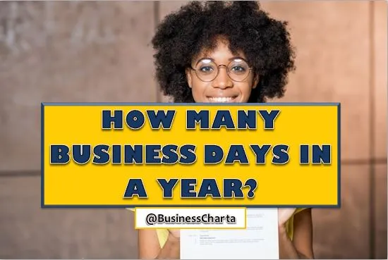 how many business days are in a calendar year​
